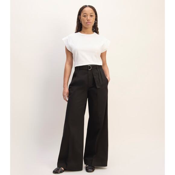 Everlane Pants - NWOT Everlane The Pleated Wide-Leg Chino In Black Size 2